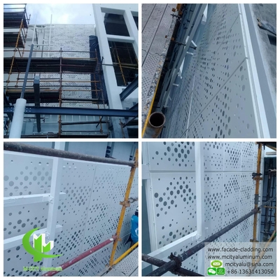 Αφρική 2 mm διάτρητο φύλλο μετάλλου πρόσοψη έργο επένδυσης τοίχου αλουμινίου